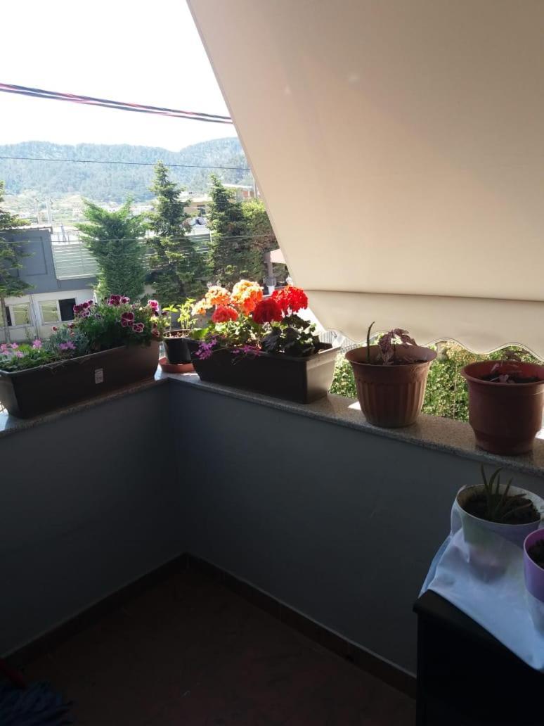 Luander Hotel Tirana Habitación foto